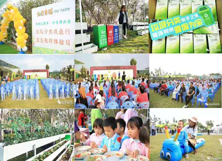 顺德小学生室外拓展哪家好,户外团建推荐