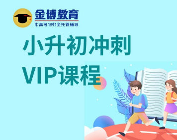 小学升初中冲刺VIP课程